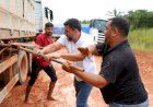 Após ouvir moradores e caminhoneiros, Wilson Lima cobra solução definitiva para BR-319: “É um atraso para a vida das pessoas”