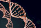 SUS passa a oferecer testagem genética para câncer de mama