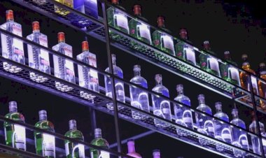 É possível reverter danos do álcool ao corpo? Ciência responde