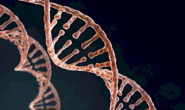 SUS passa a oferecer testagem genética para câncer de mama