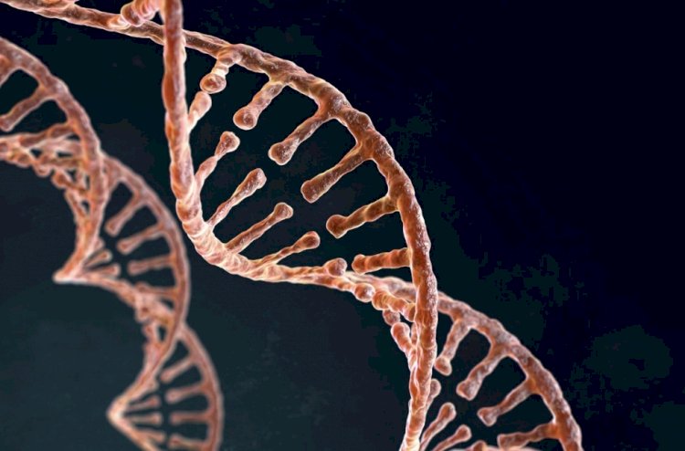 SUS passa a oferecer testagem genética para câncer de mama