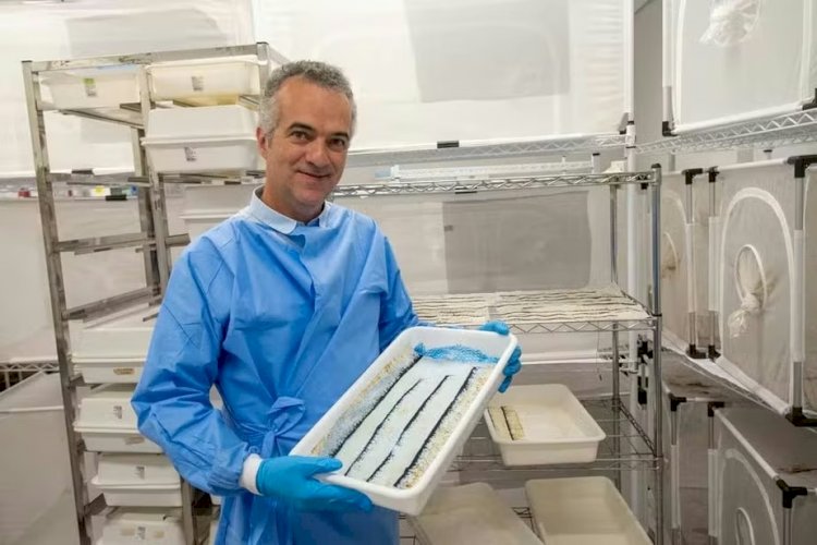 'Fiquei muito surpreso': brasileiro entra na lista da Time das 100 pessoas mais influentes do mundo