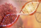 Mísseis moleculares: tratamento inovador poderá desativar genes do câncer sem atingir alvos saudáveis