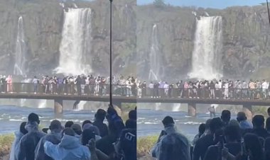 Turista se pendura em passarela e pula nas águas das Cataratas do Iguaçu para recuperar celular; veja vídeo