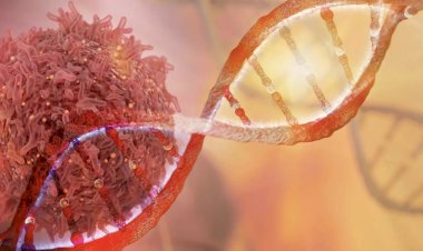 Mísseis moleculares: tratamento inovador poderá desativar genes do câncer sem atingir alvos saudáveis