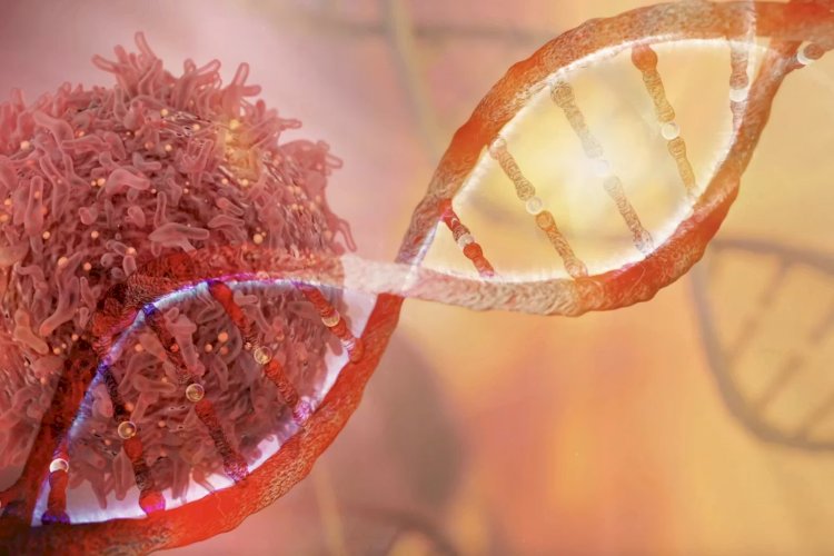 Mísseis moleculares: tratamento inovador poderá desativar genes do câncer sem atingir alvos saudáveis