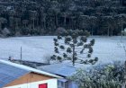 Frio avança pelo Centro-Sul nesta quarta; geada e mínimas abaixo de 10°C estão previstas