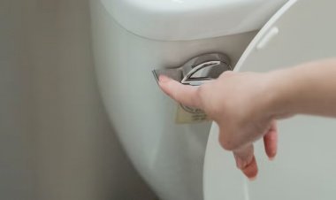 Câncer de intestino dá primeiros sinais no banheiro; veja hábitos de risco e como diagnosticar