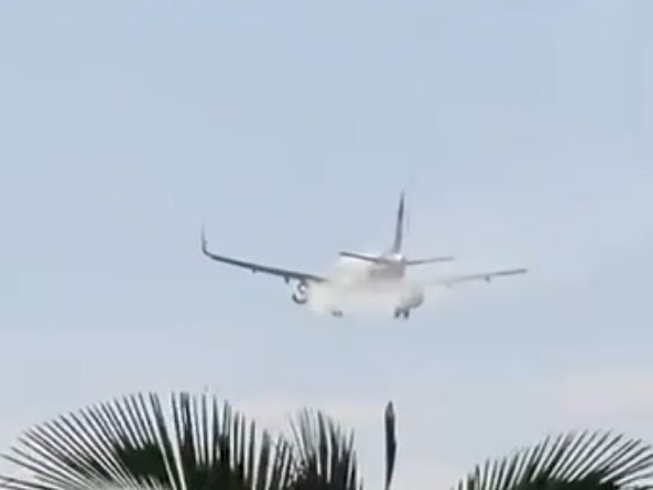 Avião da Latam precisa voltar ao Aeroporto de Brasília após colidir com ave