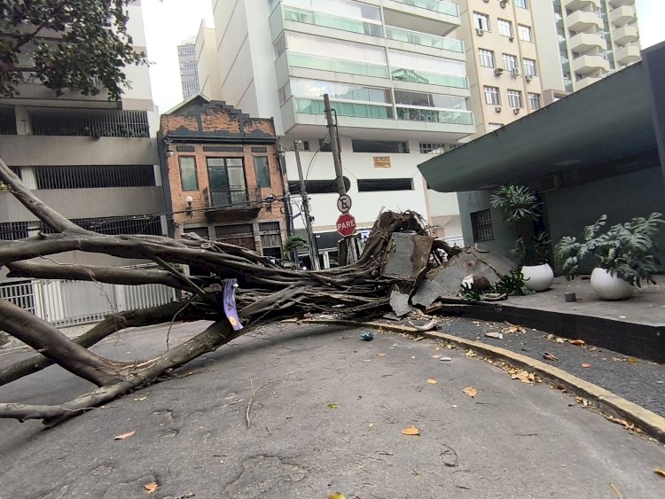 Vendaval de mais de 90 km/h coloca o Rio em estágio de alerta, deixa bairros sem luz e afeta transportes; siga ao vivo
