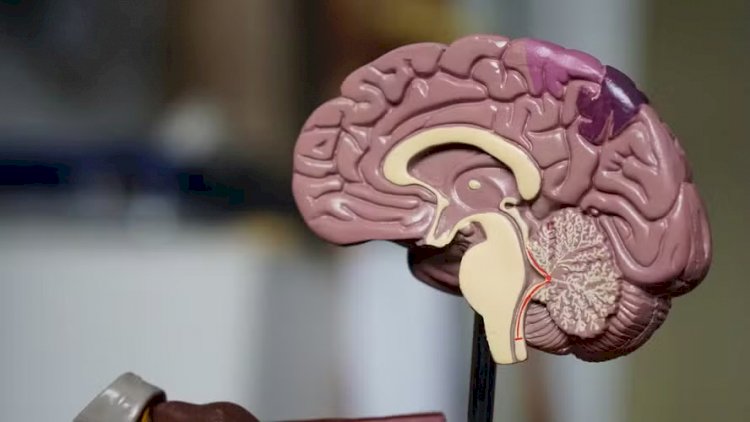 Alzheimer pode deixar sinais no cérebro mais de sete anos antes de placas aparecerem em exames, aponta estudo