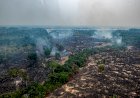 Governo federal autoriza repasse de quase R$ 8 milhões para seis municípios do AM afetados por queimadas
