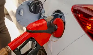 Governo zera tributos sobre gasolina e publica MP que libera R$ 7,5 bilhões para segurar preço do diesel